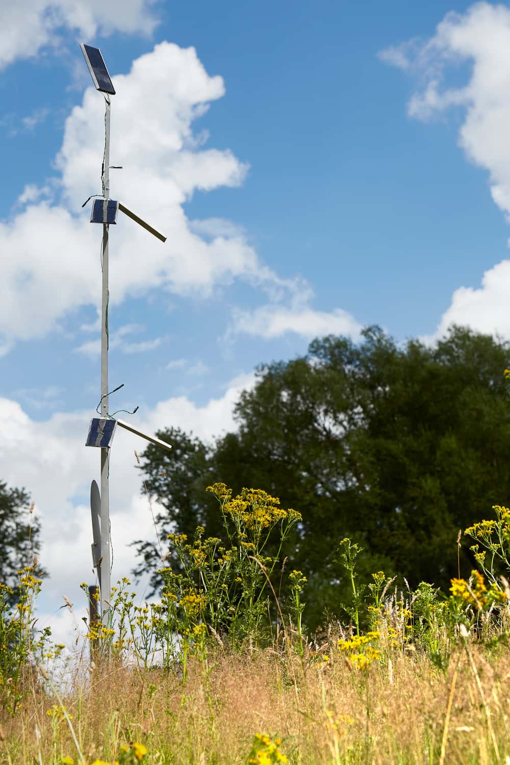 The Plantenna © Nicole Marnati.